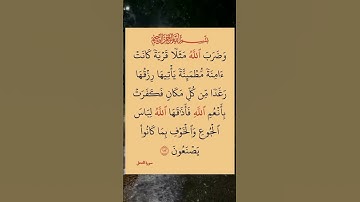 #القران_كريم 🌺 #سورة #النحل #استغفر_الله_واتوب_إليه_استغفر_الله_العظيم 🌸