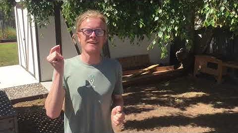 Find Directions Using the Sun