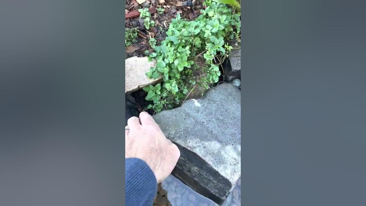 Fixing sneaky leak in new pond YouTube