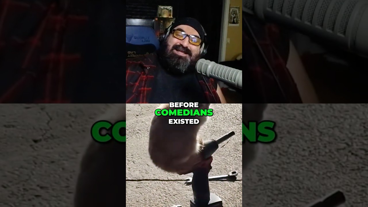 Собаки и кошки — это ПОЛНЫЙ КОНТЕНТ