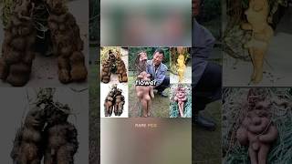 Mind Blowing Photos You Haven't Seen Before | Part 107