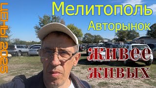 АВТОРЫНОК МЕЛИТОПОЛЬ 2025 | ЦЕНЫ от 220 тыс