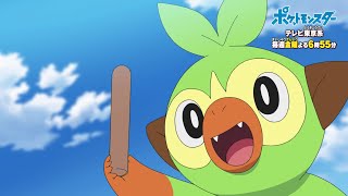 公式 アニメ ポケットモンスター プロモーション映像 Youtube