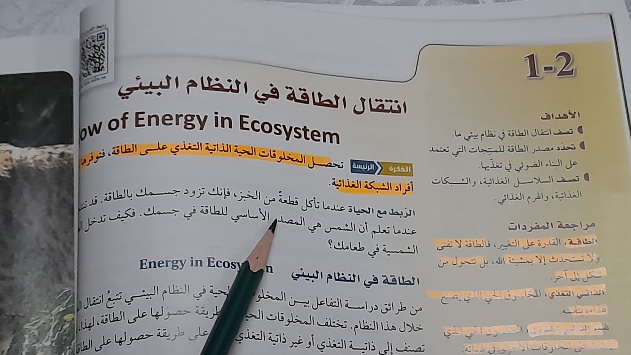 شرح درس انتقال الطاقة في النظام البيئي | علم البيئة