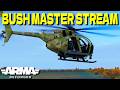 Bush Master STREAM - Dominating Russia