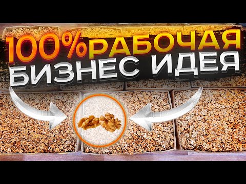 Чистка грецкого ореха - подробный бизнес план!!! Сколько можно заработать на чистке грецкого ореха?