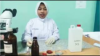PEMERIKSAAN CACING FILARIA