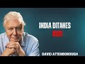 India Ditches the US Dollar | David Attenborough Powerful Motivational Speech