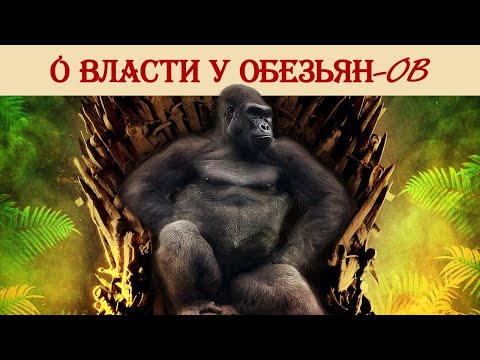Видео: О власти у обезьян и не только: цитаты Виктора Дольника