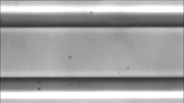 Fabrication of 3D High Aspect Ratio PDMS Microfluidic Networks with A Hybrid Stamp