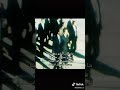 وصول شاه ايران مصر بعد ثوره الخميني وصول شاه ايران مصر بعد ثوره الخميني