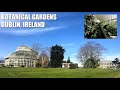Botanic Gardens - The Best Park in Dublin