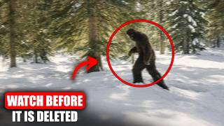 2 Hours Of Shocking Bigfoot Evidence: The Most Convincing Footage Ever Caught!