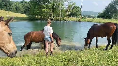 AsvaNara Season Recap 2025