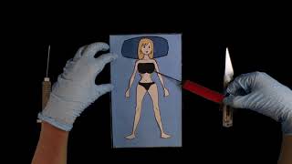 Plastic Surgery Animation