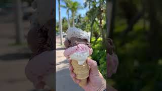 Eating my wife’s ice cream, then surprising her with 5 new flavors