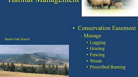NRM 101 Lecure: Wildlife Management-- Dr. Kris Hun...