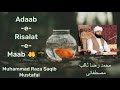 Adaab E Risalat E Maab محمد رضا ثاقب مصطفائی Muhammad Raza Saqib Mustafai Islam Islamic 