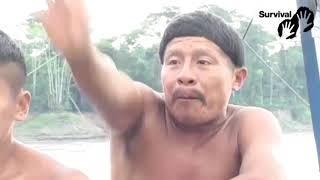 Die Bergarbeiter Werden Die Kinder Der Korubo Töten