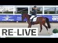 Dressage Day 1 6yo horses I FEI WBFSH Eventing World Breeding Championship for Young Horses 2023