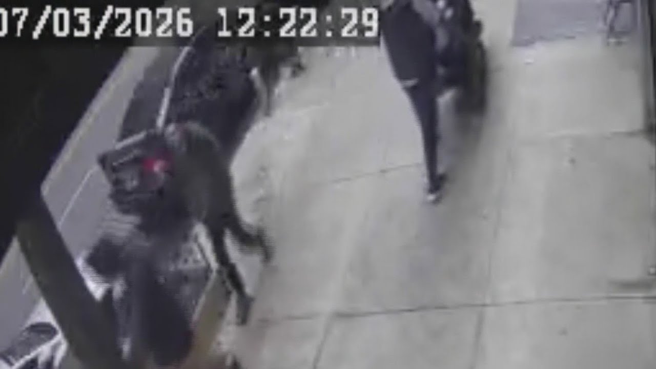 Exclusive video shows the moment accused NYC bombers arrive in Manhattan
