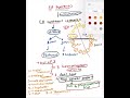 Fatty acid synthesis, basic concepts[biochemistry]#mbbs 