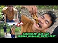 Nangkap ular liar dan kuras air sungai dapat ikan banyak banget jadikan makanan super lezat