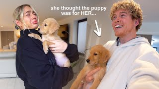 Puppy PRANK on my fiancé! *She wanted to break up*