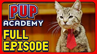 Kitten Academy | Pup Academy Full Episode S1E8