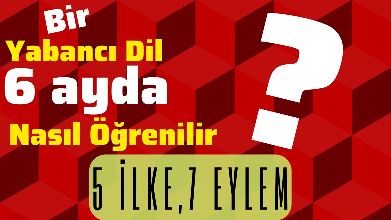 Bir Yabancı Dil 6 Ayda Nasıl Öğrenilir? | Dil Edinimi
