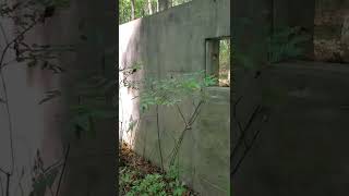 Abandoned WW2 era bunker in a wildlife refuge!