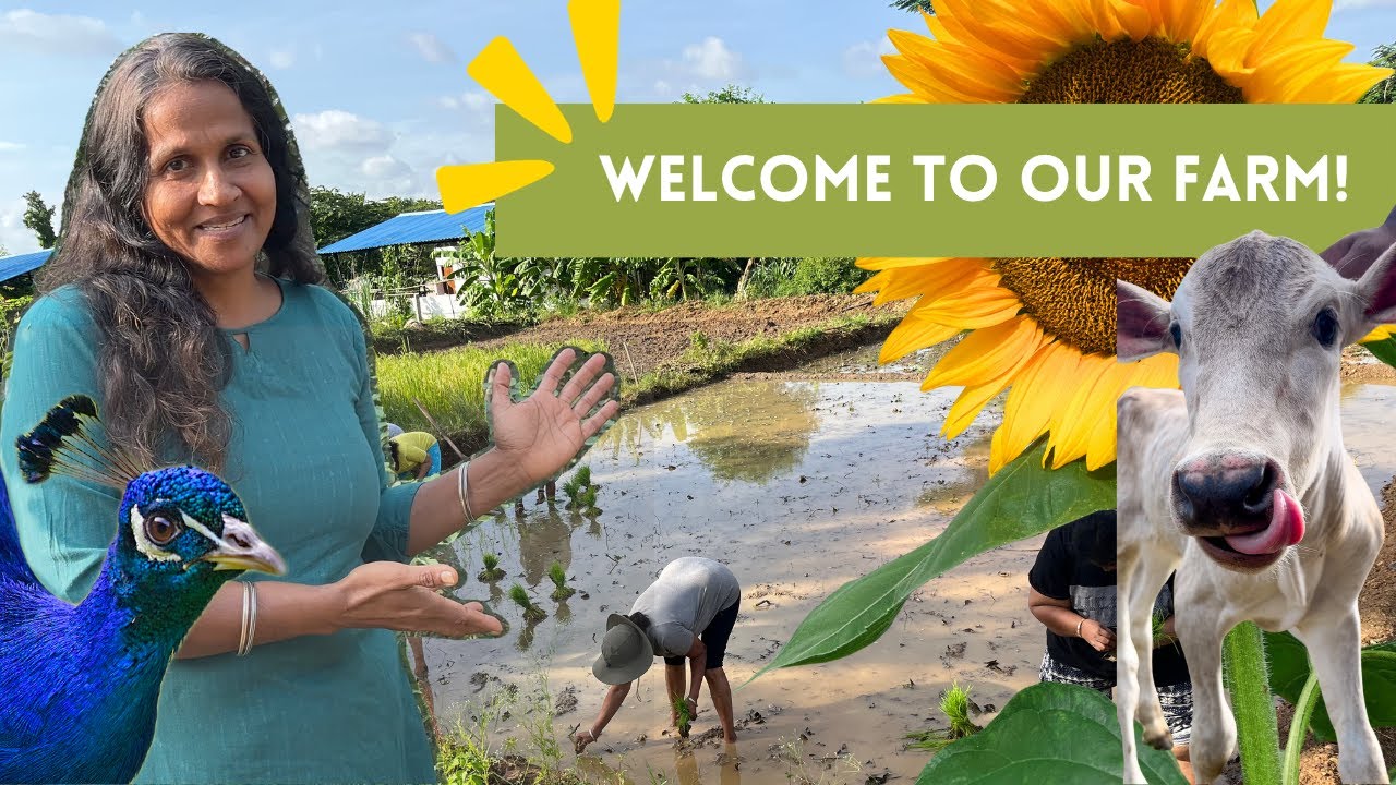 Welcome to The Lilac Farm!