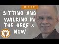 Sitting and Walking in the Here and Now | Dharma Talk by Thich Nhat Hanh, 2004-01-11