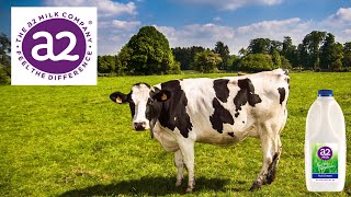 A2 Milk Stock Long Term Outlook (A2M, ATM)