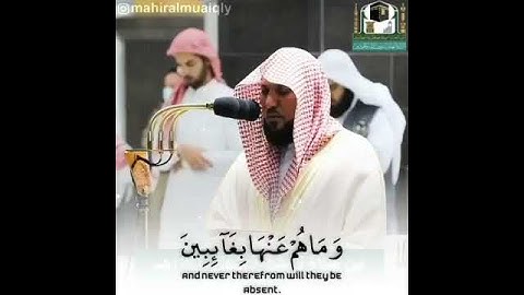 الشيخ د. ماهر المعيقلي ما تيسر من سورة الإِنفِطَاَر من أية 13 - 19