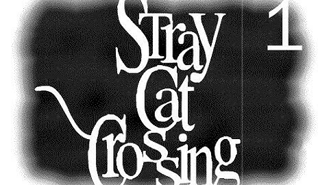 Stray Cat Crossing  pt 1