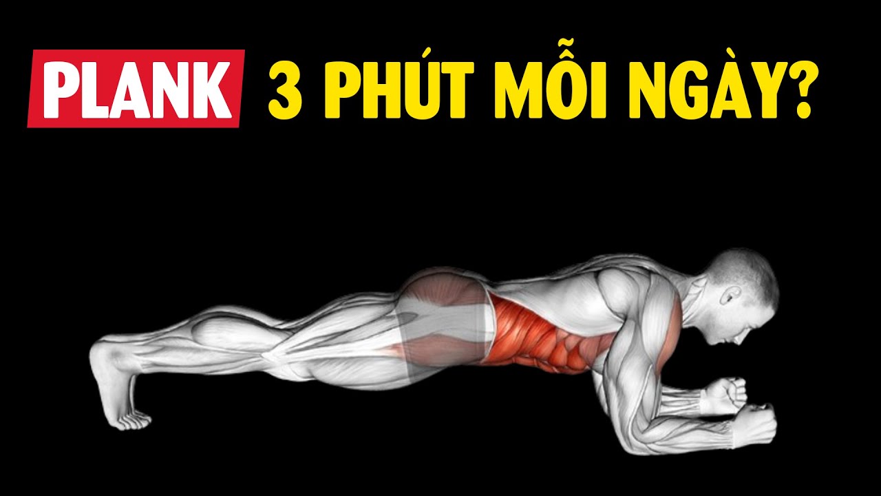 Outline Video Chuyện gì xảy ra khi bạn Plank 3 phút mỗi ngày?
