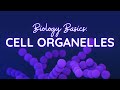 Cell Structure and Function Quiz