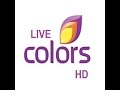 Newcolors tv live stream