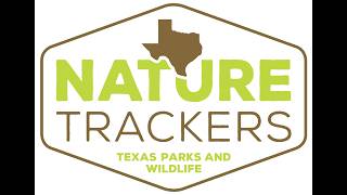 How to add your observations to our TNT iNaturalist projects