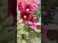 #nature can be change we should safe it