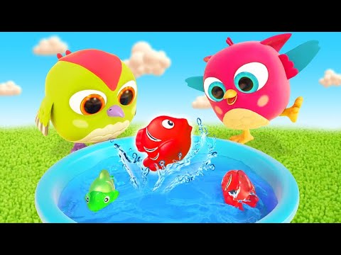 Видео: Тук Тук и Хоп Хоп сделали бассейн для рыбок! Развивающие мультики для малышей Совенок Хоп Хоп
