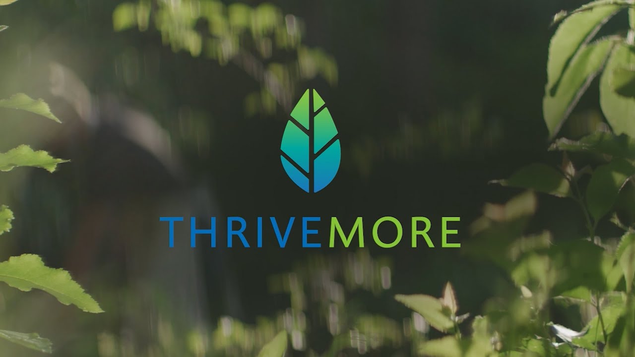 Thrivemore Places: Bringing a Brand to Life Through Storytelling