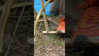 Primitive fire #primitiveskills #primitivefire #survivalskills