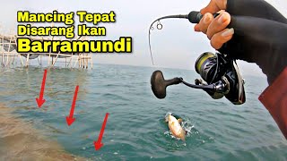 Rejeki Gak Kemana..!! Bikin Iri Pemancing Lain Cuma Saya Yang Dapat Barramundi Dam Ijo