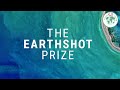 The Earthshot Prize | The World’s Biggest Environmental Prize