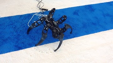 Dancing Spider Robot - IDF 2014