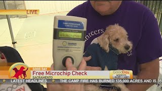 Free Microchip Check