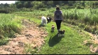 bella 2014 0830 08