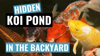 Finished DIY KOI FISH POND & natural looking WATER GARDEN - (update)